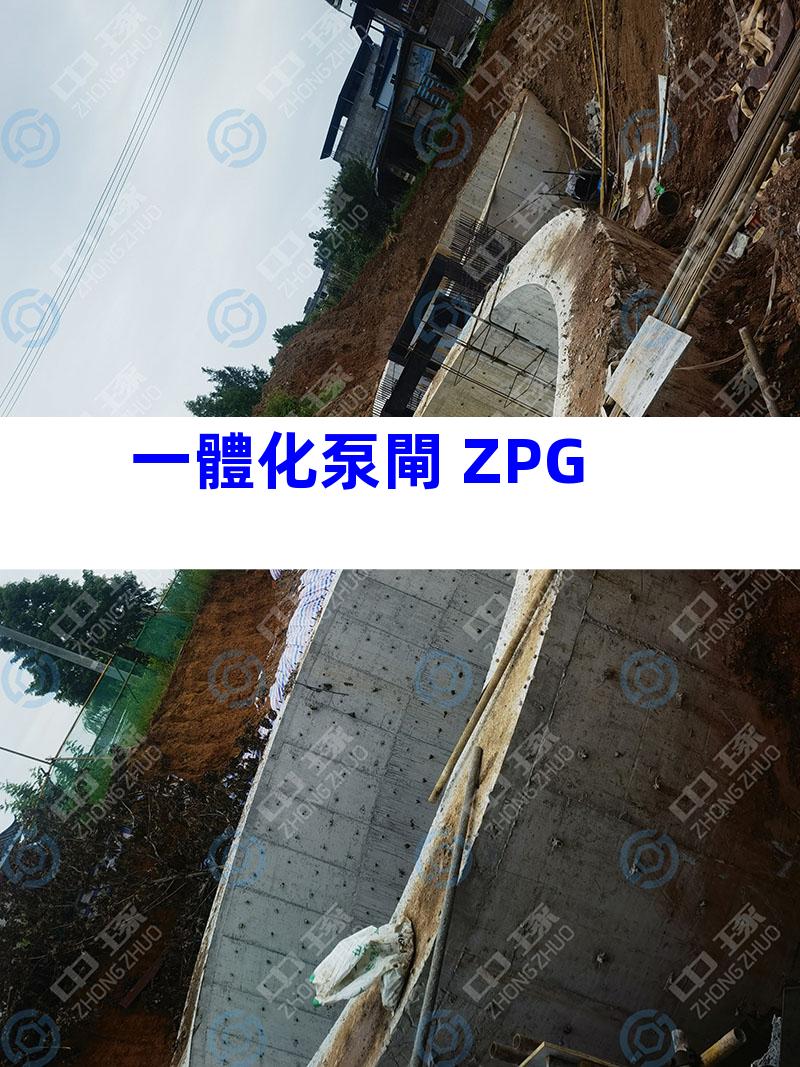 一體化泵閘 ZPG